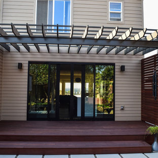 Idee per un piccolo patio o portico etnico dietro casa con un giardino in vaso, pavimentazioni in cemento e una pergola