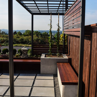Idee per un piccolo patio o portico etnico davanti casa con pavimentazioni in cemento e una pergola