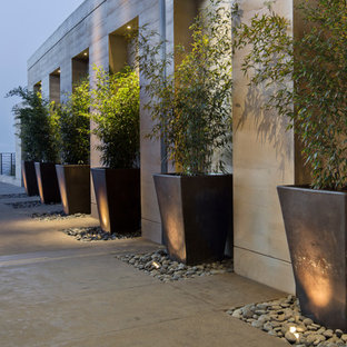 Example of a huge minimalist concrete patio vertical garden design in San Francisco