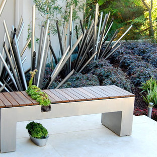 Inspiration for a contemporary patio remodel in San Francisco with no cover