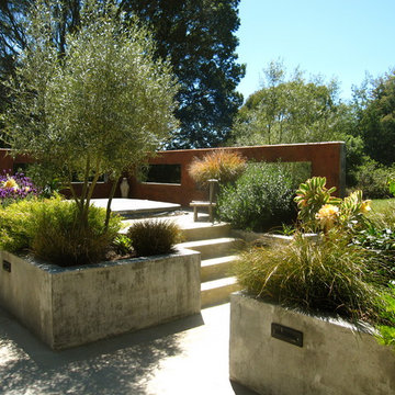 Contemporary Patio