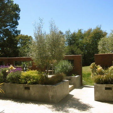 Contemporary Patio