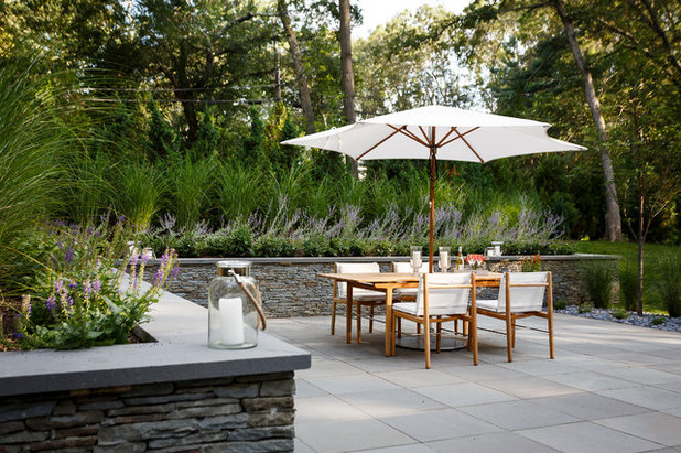 Transitional Patio by Terra Verde