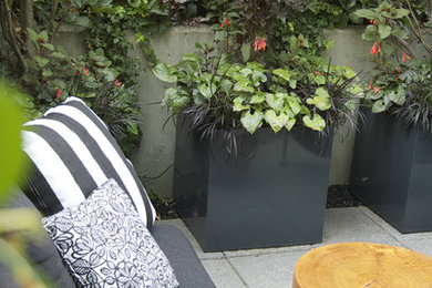 Aménagement d'une terrasse avec des plantes en pots contemporaine de taille moyenne avec une cour, des pavés en béton et aucune couverture.