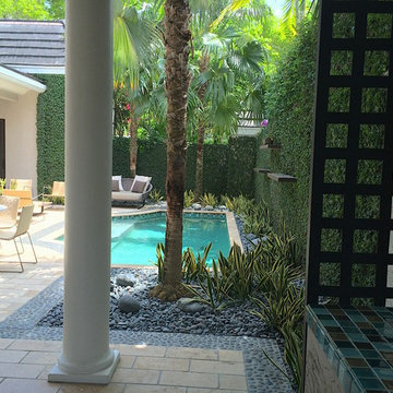 Coral Gables Townhouse Pool and Garden Remodel