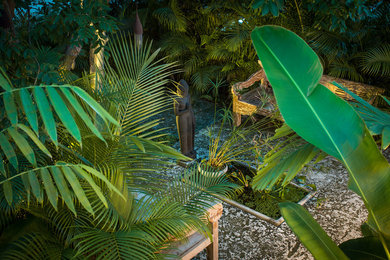 マイアミにある中くらいなアジアンスタイルのおしゃれな庭の写真