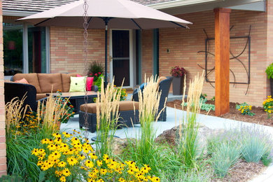 Cottonwood Entry Courtyard