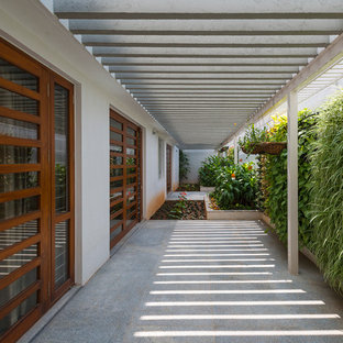 Immagine di un patio o portico minimalista di medie dimensioni e nel cortile laterale con pavimentazioni in cemento e una pergola