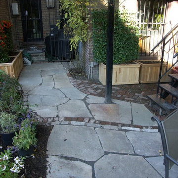 Courtyard patio landscape