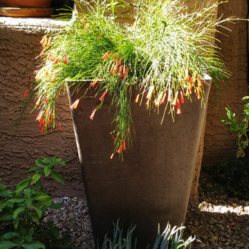 Courtyard Redo