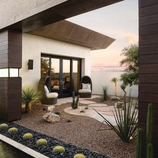 Cette photo montre une très grande terrasse arrière tendance avec aucune couverture.
