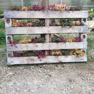 Custom Planters
