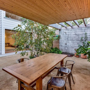 Danish patio container garden photo in San Francisco