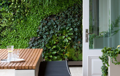 An Architect Reveals: 5 Reasons You Need a Green Wall
