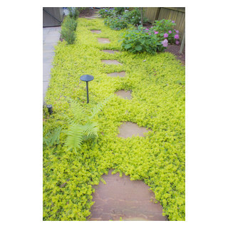 Decatur Back Yard Makeover - Craftsman - Landscape - Atlanta - by ...