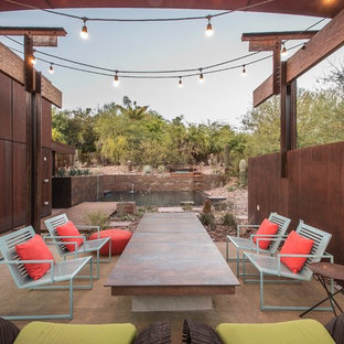 Idee per un grande patio o portico industriale dietro casa con nessuna copertura