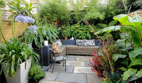 Serenity Now: 12 Urban Garden Ideas to Retreat to