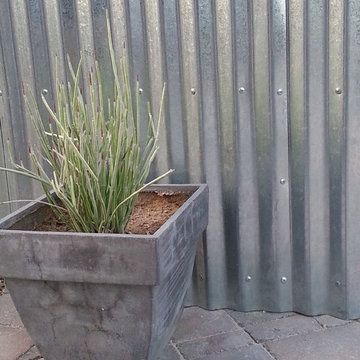 Eclectic and Waterwise Back Yard