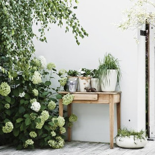 Idées déco pour un mur végétal de terrasse scandinave de taille moyenne avec une cour.