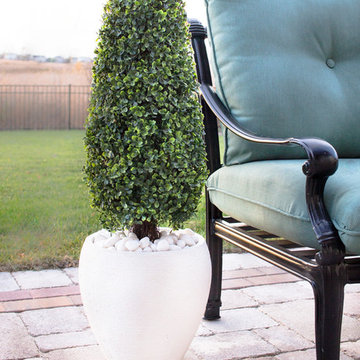 Elegant Black Metal Patio Chair with Boxwood Topiary Plant