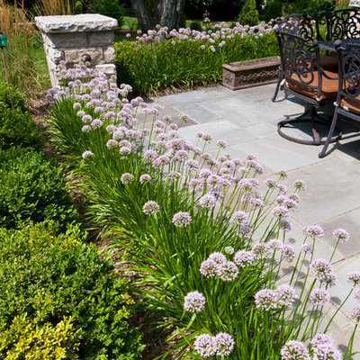 Mid-sized elegant backyard stone patio photo in Milwaukee