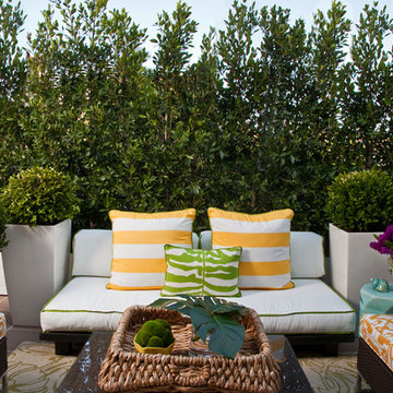 Emily Ruddo Design