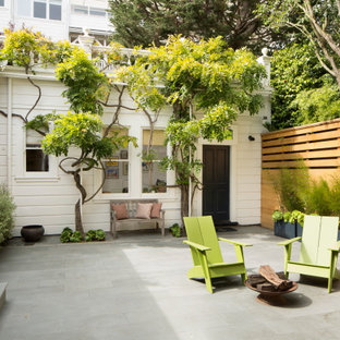 Idee per un grande patio o portico minimal in cortile con un giardino in vaso, pavimentazioni in pietra naturale e nessuna copertura