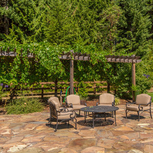 Foto di un ampio patio o portico rustico dietro casa con pavimentazioni in pietra naturale e nessuna copertura