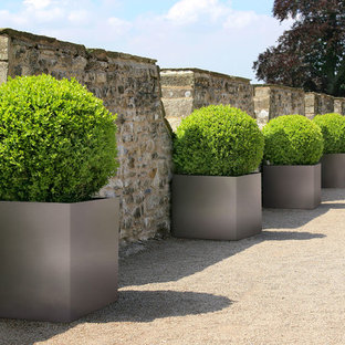 Foto di un ampio patio o portico minimalista dietro casa con ghiaia, nessuna copertura e un giardino in vaso