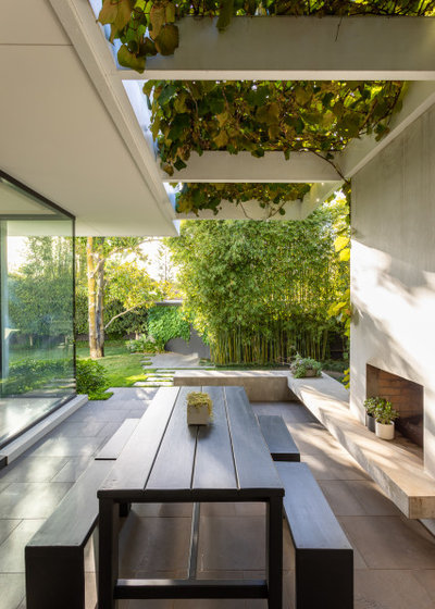 Contemporary Patio by Ben Scott Garden Design
