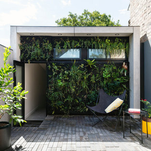 Inspiration for a mid-sized contemporary courtyard patio in Sydney with brick pavers, no cover and a vertical garden.