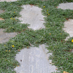 Foto di un piccolo patio o portico minimalista dietro casa con pavimentazioni in pietra naturale e nessuna copertura