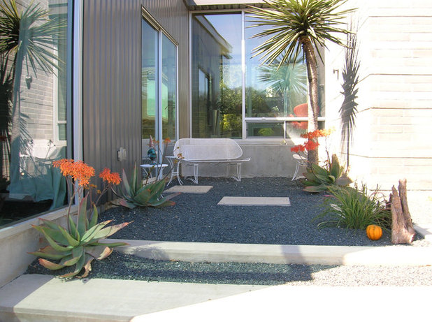 Mid-Century Patio by D-CRAIN Design and Construction