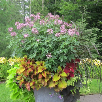 Flower pot gardening