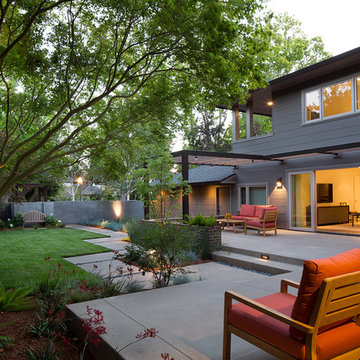 Front Yard and Patio