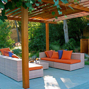 Ispirazione per un patio o portico design con lastre di cemento e una pergola