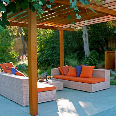Trendy concrete patio photo in San Francisco with a pergola
