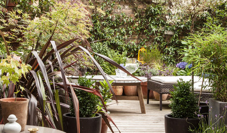 Lose Yourself in Lush Outdoor Nooks and Urban Retreats
