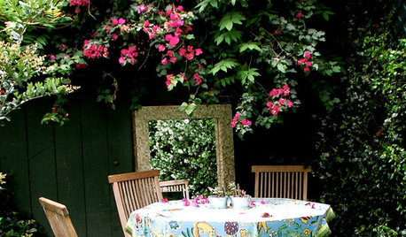 Patio Power: 12 Ways to Energize Your Outdoor Room