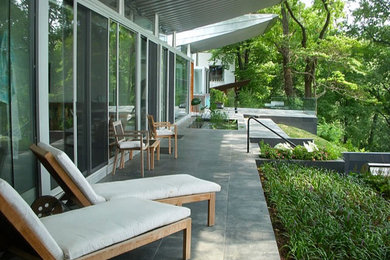 Immagine di un grande patio o portico design dietro casa con pavimentazioni in cemento e un tetto a sbalzo