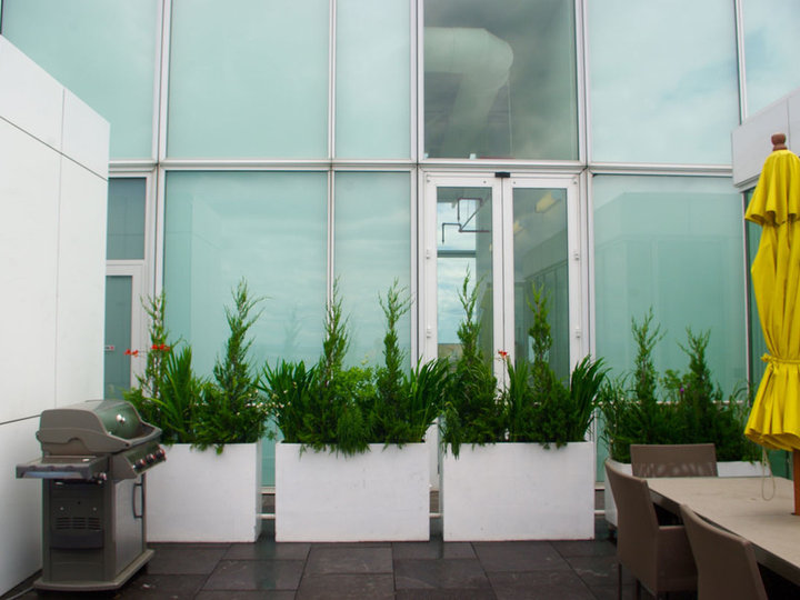 Patio - Container Garden