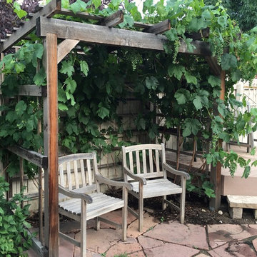 Grape arbor