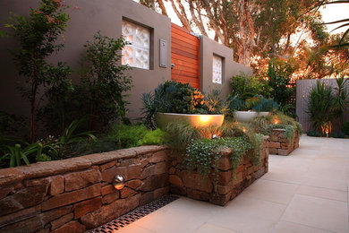 Contemporary courtyard patio in Sydney with a potted garden.