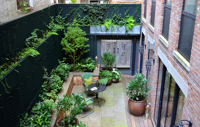 Problem Solving With the Pros: How to Build a Garden in an Urban Canyon
