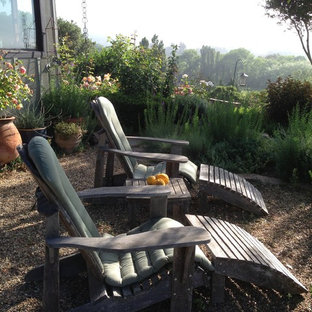 Foto di un patio o portico tradizionale con un giardino in vaso, graniglia di granito e nessuna copertura