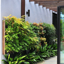 L - Roof & Vertical Garden