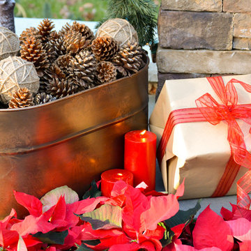 Holiday Fireplaces