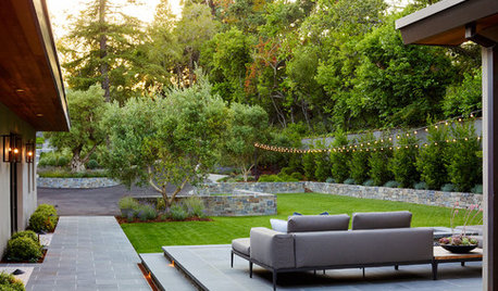 Patio of the Week: Stylish Family-Friendly Front Yard