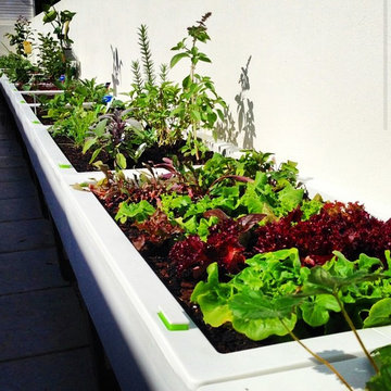 Inner city urban gardening spaces