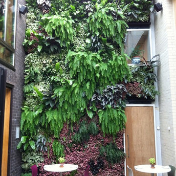 Interior living wall - The Forge Camden